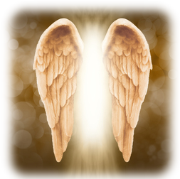 WingsOnFried-AngelReadingsByZARA