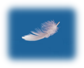 DivineGuidance2-AngelReadingsByZARA